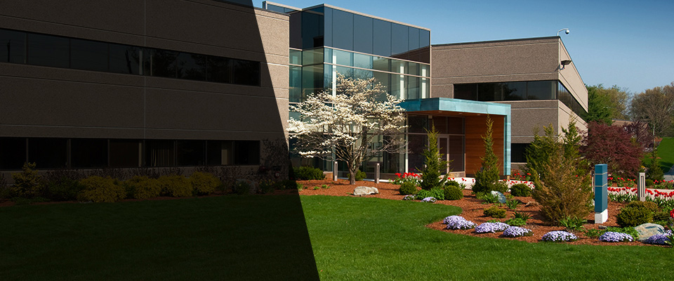 Lynbrook Landscapers