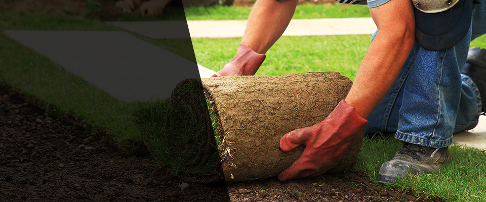Lynbrook Landscapers